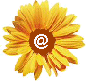 girasole